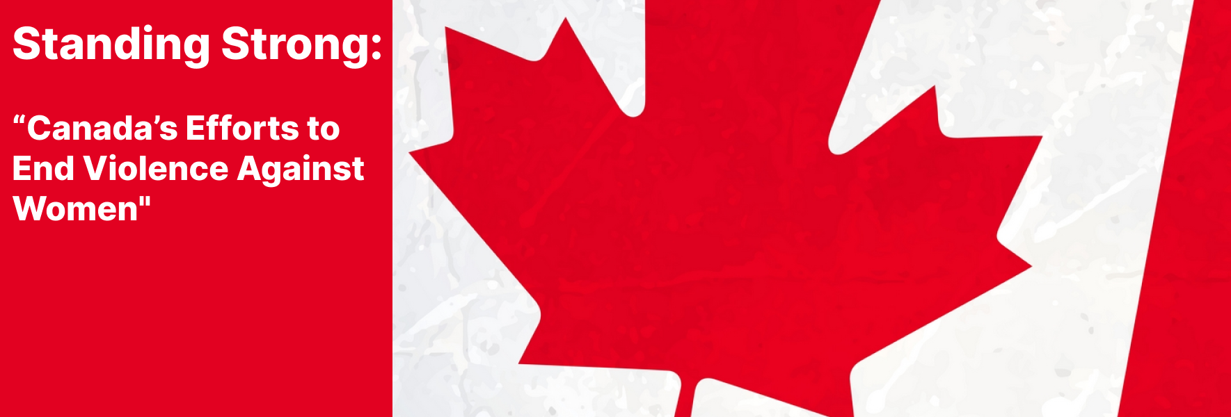 Supporting Women Against Violence in Canada